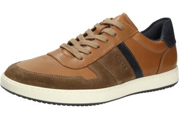 Lloyd BOSCO Herren Schnürschuh 2476433 