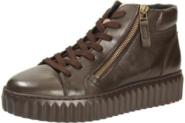 Lloyd Stiefel 2322811 