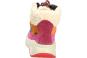 morepic-3